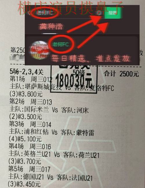 世界杯竞猜入口推荐报告：用户反馈+直播与实际体验总结 - 世界杯官方信息
